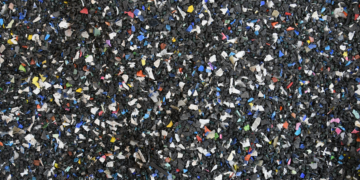 Microplásticos na água podem gerar substâncias capazes de causar danos biológicos, aponta estudo