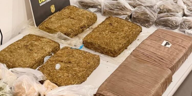 Polícia desarticula esquema de tráfico de drogas na Zona Sul de Macapá
