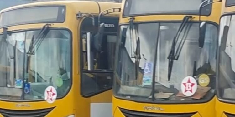 Grupo de vereadores pede investigação na Câmara sobre redução da frota de ônibus em Salvador no 2º turno das eleições Grupo de vereadores pede investigação na Câmara sobre redução da frota de ônibus em Salvador no 2º turno das eleições