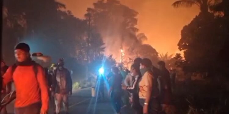 Incêndio em área de mata deixa famílias desalojadas no Careiro da Várzea, no Amazonas Incêndio em área de mata deixa famílias desalojadas no Careiro da Várzea, no Amazonas