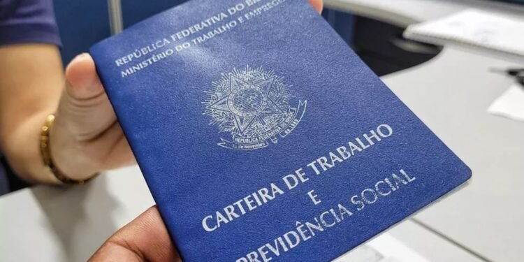 Emprego: confira as 219 vagas disponíveis em Petrolina, Salgueiro e Araripina