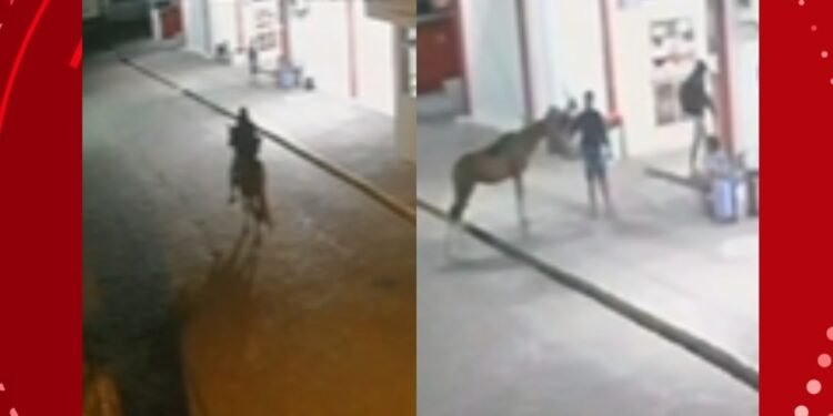 VÍDEO: Homem rouba lanchonete montado a cavalo e obriga vítima a segurar animal no interior da Bahia VÍDEO: Homem rouba lanchonete montado a cavalo e obriga vítima a segurar animal no interior da Bahia