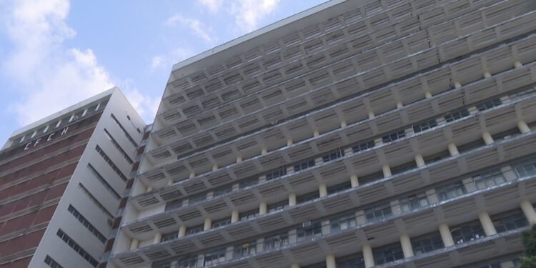 Infestação de pulgas faz UFPE interditar prédio do CFCH e suspender aulas Infestação de pulgas faz UFPE interditar prédio do CFCH e suspender aulas