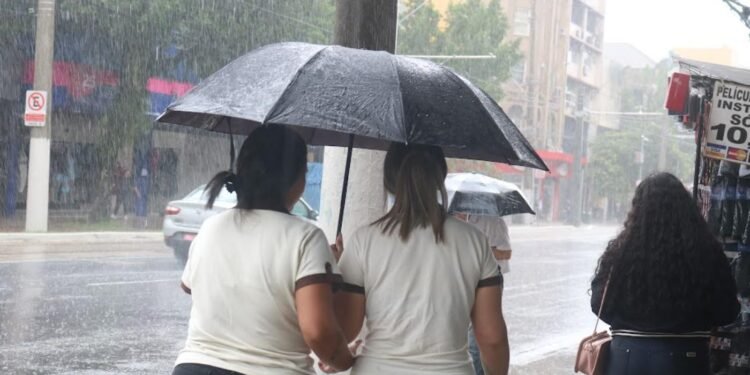 Defesa Civil coloca Baixada Santista e Vale do Ribeira em estado de atenção para três dias de chuva