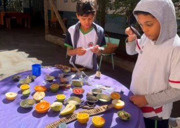 Programa de educação integral do interior de SP conquista 2º lugar em prêmio nacional; conheça
