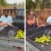 Leonardo pega pequi no meio de fazenda e mostra carroceira cheia: ‘Será que a gente gosta?’ Leonardo pega pequi no meio de fazenda e mostra carroceira cheia: ‘Será que a gente gosta?’
