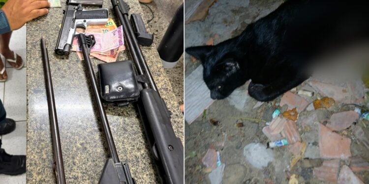 Suspeito de matar gato a tiros é preso com armas e munições em Parnaíba Suspeito de matar gato a tiros é preso com armas e munições em Parnaíba