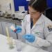 Da sabedoria popular ao laboratório: Unifap transforma saberes ancestrais em remédios amazônicos usados no SUS Da sabedoria popular ao laboratório: Unifap transforma saberes ancestrais em remédios amazônicos usados no SUS