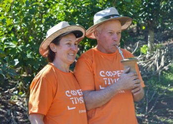Cultivo de erva-mate une trabalho e tradição em família
