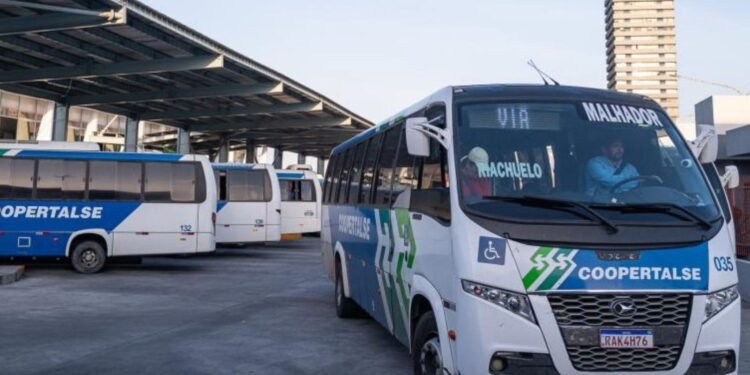 Dia de Finados: transporte intermunicipal será ampliado em Sergipe durante feriado prolongado Dia de Finados: transporte intermunicipal será ampliado em Sergipe durante feriado prolongado