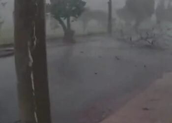 Temporal atinge região de Ribeirão Preto, SP, e provoca chuva de granizo e queda de árvores