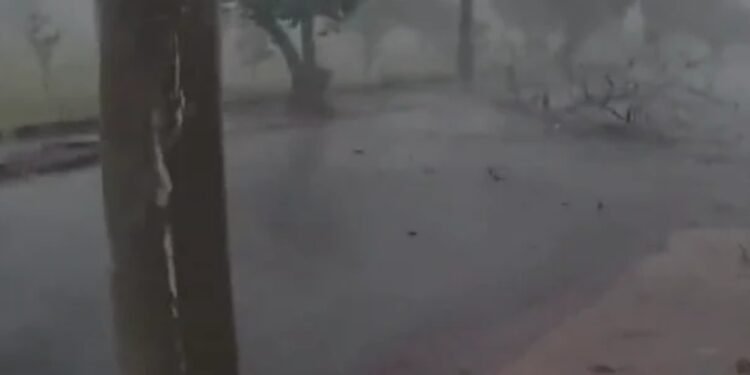 Temporal atinge região de Ribeirão Preto, SP, e provoca chuva de granizo e queda de árvores