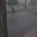 Temporal atinge região de Ribeirão Preto, SP, e provoca chuva de granizo e queda de árvores Temporal atinge região de Ribeirão Preto, SP, e provoca chuva de granizo e queda de árvores