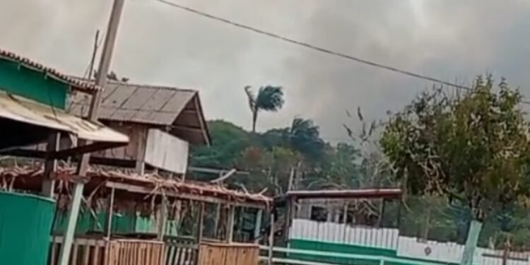 Fogo se aproxima de comunidades ribeirinhas e destrói plantações no interior do AM Fogo se aproxima de comunidades ribeirinhas e destrói plantações no interior do AM