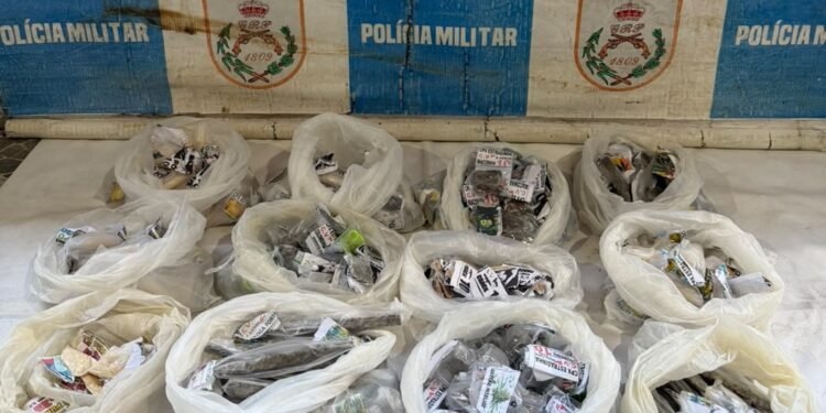 Polícia apreende mais de 4,7 kg de drogas no Jardim Esperança, em Cabo Frio; dois fogem ao ver viatura