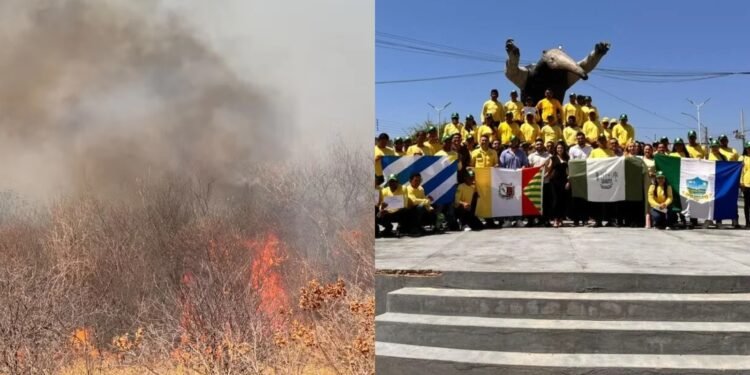 Com mais de 5 mil focos de incêndio em 2026, PI tem 3,3 mil brigadistas em campo Com mais de 5 mil focos de incêndio em 2026, PI tem 3,3 mil brigadistas em campo