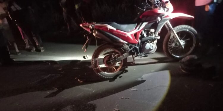 Motociclista morre após bater em árvore que caiu durante chuva no Piauí Motociclista morre após bater em árvore que caiu durante chuva no Piauí