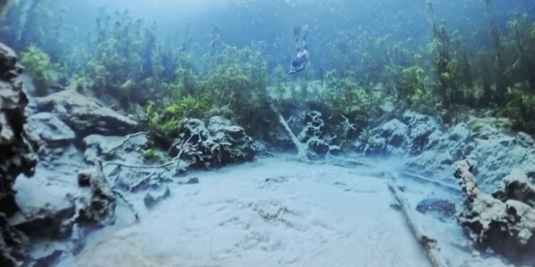 O rio cristalino que nasce de águas subterrâneas e atrai turistas de todo o mundo para MS