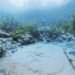 O rio cristalino que nasce de águas subterrâneas e atrai turistas de todo o mundo para MS