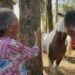 Bênçãos pelo celular: entenda como benzedores adaptam rituais para seguir tradição de orações a animais no interior do RS Bênçãos pelo celular: entenda como benzedores adaptam rituais para seguir tradição de orações a animais no interior do RS