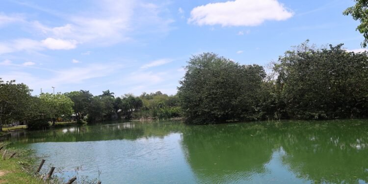 Feira de Santana terá calor de até 38°C e sensação térmica de 41°C nos próximos dias Feira de Santana terá calor de até 38°C e sensação térmica de 41°C nos próximos dias