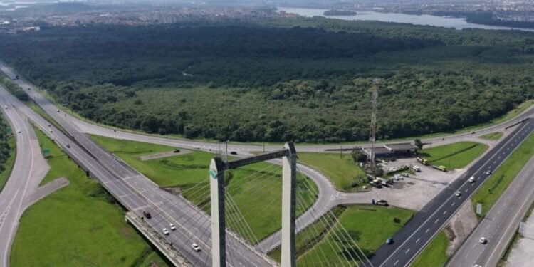 Complexo logístico na Ilha do Tatu ameaça manguezais e mobilidade, diz Prefeitura de Cubatão Complexo logístico na Ilha do Tatu ameaça manguezais e mobilidade, diz Prefeitura de Cubatão