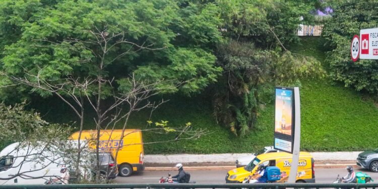 Mortes no trânsito da cidade de SP aumentam, e motociclistas são quase metade das vítimas