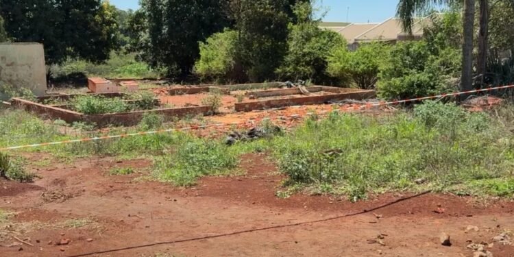 Adolescente venezuelana de 14 anos é encontrada morta em mata no Paraná; padrasto, apontado como suspeito, morre em confronto com a PM
