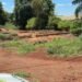 Adolescente venezuelana de 14 anos é encontrada morta em mata no Paraná; padrasto, apontado como suspeito, morre em confronto com a PM Adolescente venezuelana de 14 anos é encontrada morta em mata no Paraná; padrasto, apontado como suspeito, morre em confronto com a PM