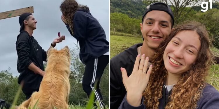 Cachorrinha ‘invade’ pedido de casamento, rouba a cena e momento viraliza; VÍDEO Cachorrinha ‘invade’ pedido de casamento, rouba a cena e momento viraliza; VÍDEO