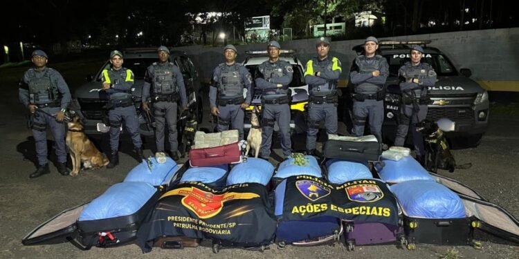 Mais de 340 kg de folhas de coca e maconha são apreendidos em ônibus no interior de SP Mais de 340 kg de folhas de coca e maconha são apreendidos em ônibus no interior de SP