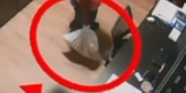 Polícia indicia dois funcionários por maus-tratos e morte de gata dentro de academia de Maceió Polícia indicia dois funcionários por maus-tratos e morte de gata dentro de academia de Maceió