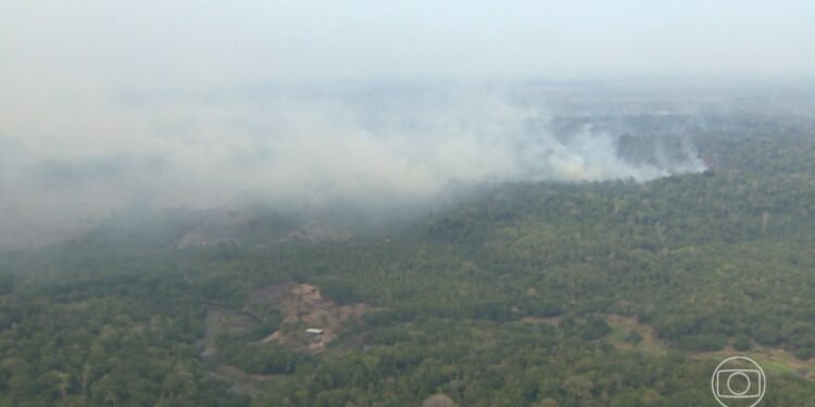 Pelo nono dia seguido, capital do Amazonas fica encoberta pela fumaça de incêndios florestais Pelo nono dia seguido, capital do Amazonas fica encoberta pela fumaça de incêndios florestais