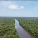 Desmatamento na Amazônia e no Cerrado cai para o menor nível desde o início das medições Desmatamento na Amazônia e no Cerrado cai para o menor nível desde o início das medições