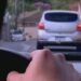 Polícia prende quadrilha que usava carros de aplicativo para roubar passageiros em Minas Gerais Polícia prende quadrilha que usava carros de aplicativo para roubar passageiros em Minas Gerais