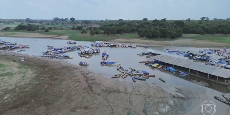 Estiagem prolongada no Amazonas faz mais de 40 cidades decretarem situação de emergência Estiagem prolongada no Amazonas faz mais de 40 cidades decretarem situação de emergência