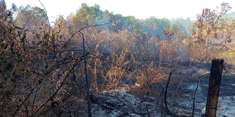 Jacundá decreta situação de emergência por incêndios florestais e efeitos da fumaça, no PA
