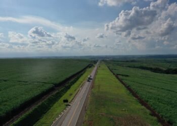Motociclista morre após ser atingido por carro na Rodovia do Açúcar em Piracicaba