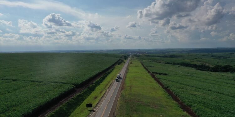 Motociclista morre após ser atingido por carro na Rodovia do Açúcar em Piracicaba Motociclista morre após ser atingido por carro na Rodovia do Açúcar em Piracicaba