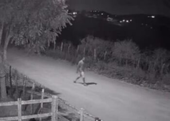 Motorista de carro envolvido em acidente que matou criança de 10 anos é ouvido pela polícia e liberado, na PB