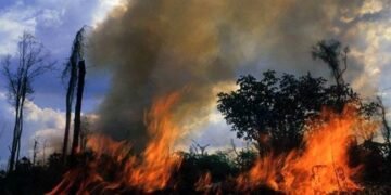 Homem morre enquanto tentava apagar incêndio em pastagem na zona rural de Nova União, RO