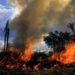Homem morre enquanto tentava apagar incêndio em pastagem na zona rural de Nova União, RO Homem morre enquanto tentava apagar incêndio em pastagem na zona rural de Nova União, RO