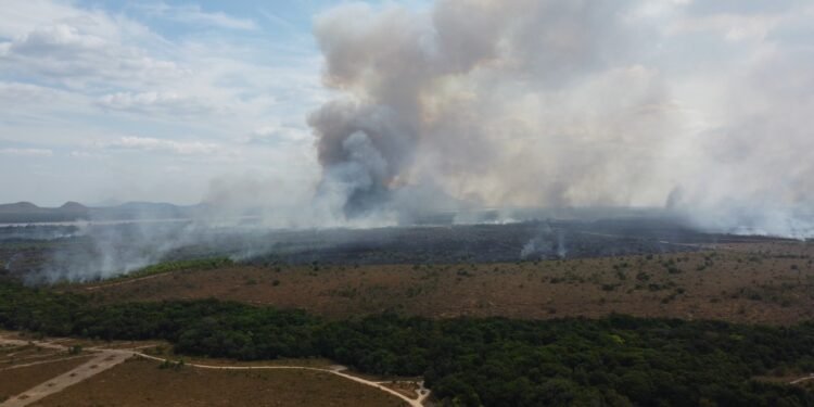 Incêndio atinge área de lavrado em Boa Vista Incêndio atinge área de lavrado em Boa Vista