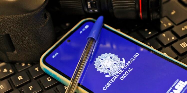 Emprego: confira as 343 vagas disponíveis em Petrolina, Salgueiro e Araripina Emprego: confira as 343 vagas disponíveis em Petrolina, Salgueiro e Araripina