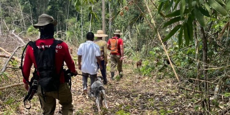 Mãe de bebê que desapareceu levada pelo tio tem prisão convertida em preventiva no Acre Mãe de bebê que desapareceu levada pelo tio tem prisão convertida em preventiva no Acre