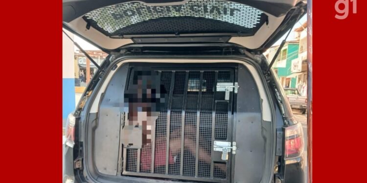 Homem é preso suspeito de violência sexual contra a sobrinha de 9 anos na Grande São Luís