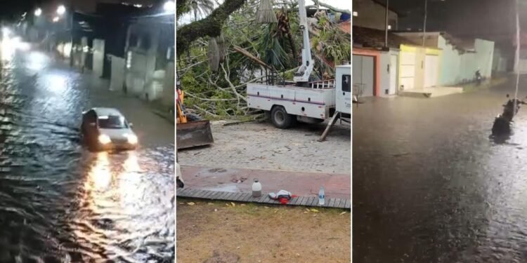 Ruas alagadas, muros desabados e árvores caídas: chuva deixa desalojados e feridos no extremo sul da Bahia Ruas alagadas, muros desabados e árvores caídas: chuva deixa desalojados e feridos no extremo sul da Bahia