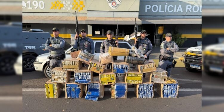 Mais de meia tonelada de maconha é apreendida em rodovia após motorista de carro desobedecer policiais Mais de meia tonelada de maconha é apreendida em rodovia após motorista de carro desobedecer policiais