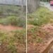 VÍDEO: ‘água fervendo’ brotando do chão chama a atenção em Caldas Novas: ‘Olha a fumaça’
