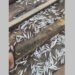 Inea investiga mortandade de peixes no canal do Grajaú, em São Francisco de Itabapoana